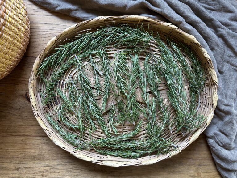 How to Craft with Rosemary + Rosemary Infused Oil Recipe