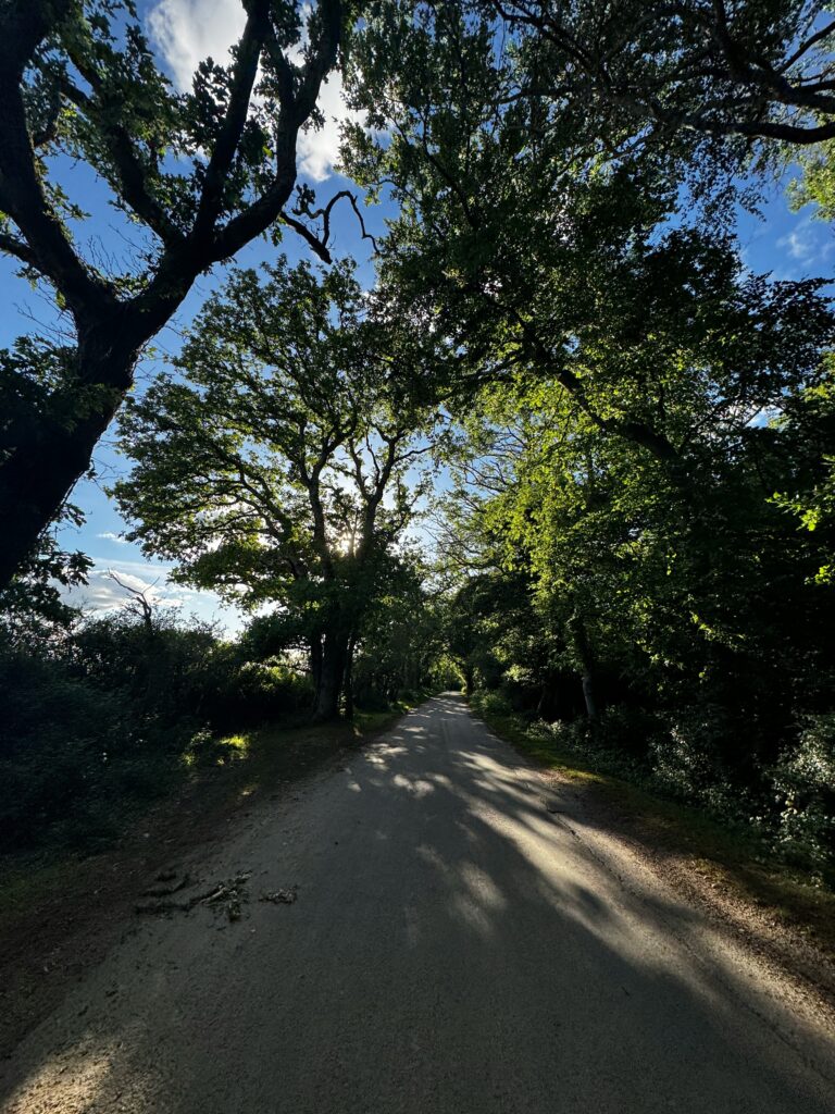 driving slower to cure driving anxiety