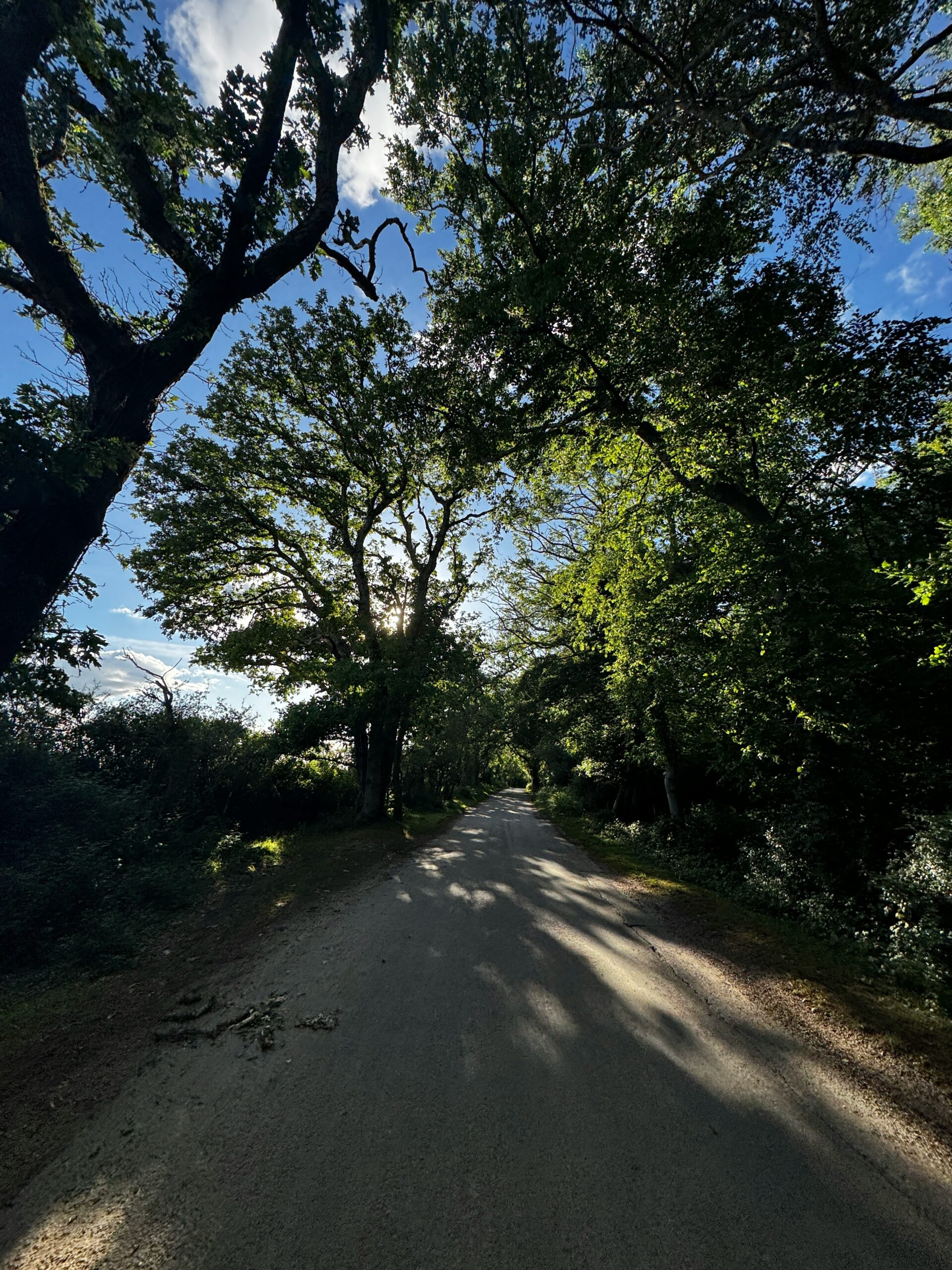 driving slower to cure driving anxiety